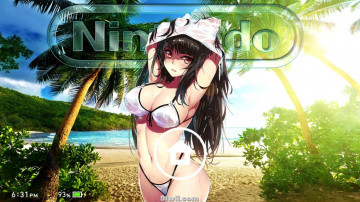 沙滩兔女郎 Beach Bunny's Switch 主题