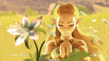 塞尔达狂野之息 Switch 主题