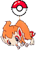 小火焰猴 勋章