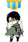 利威尔 勋章
