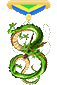 神龙 勋章'